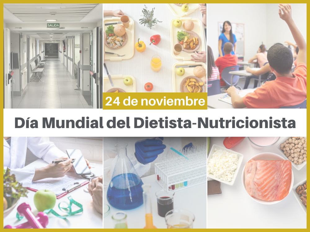 actualidad web codinucova-24n