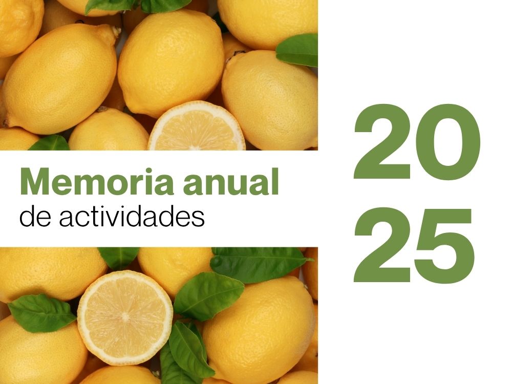 memoria 2025