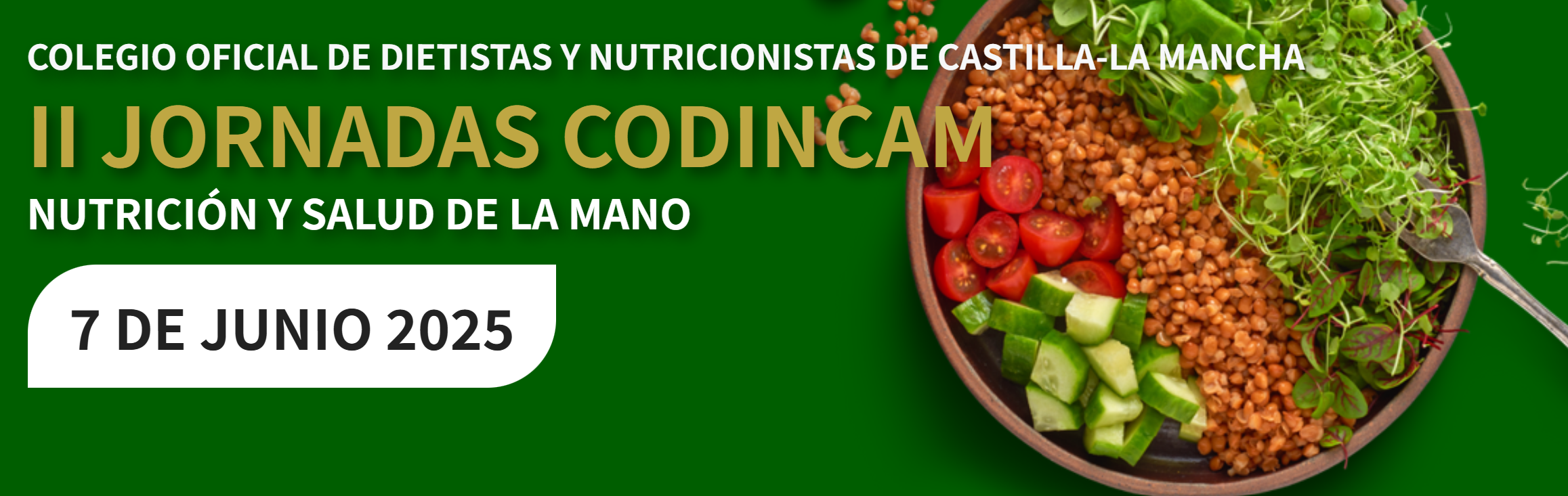 ii jornadas CODINCAM