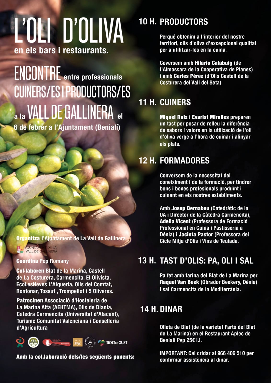 olioliva2