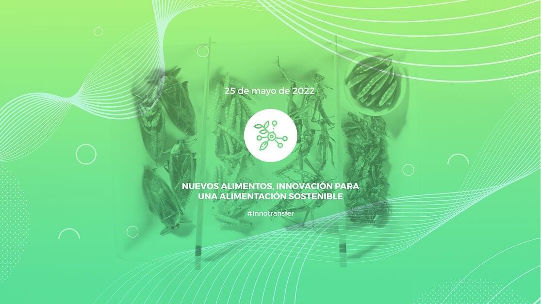 innotransfer nuevos alimentos