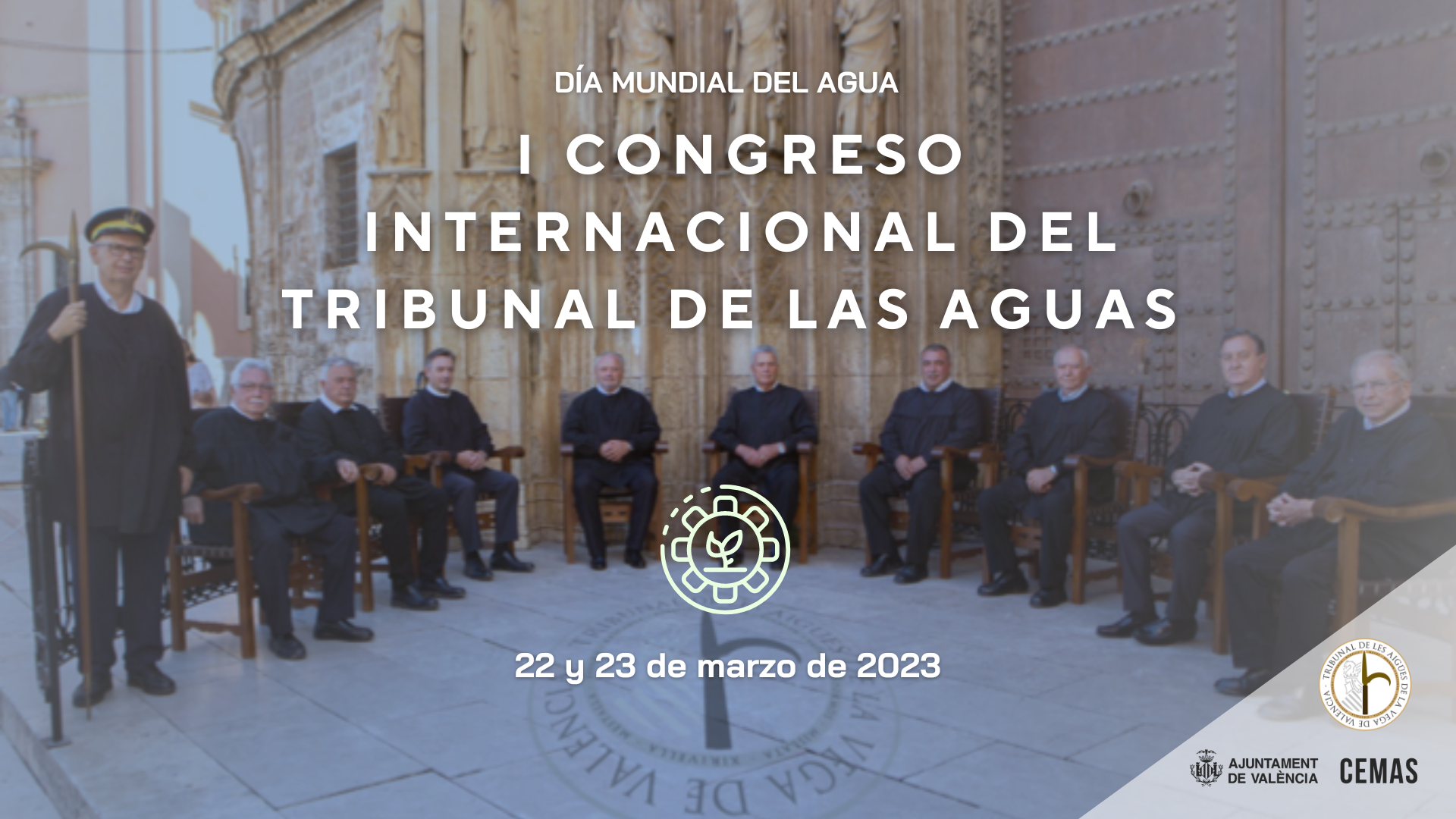 tribunal aguas