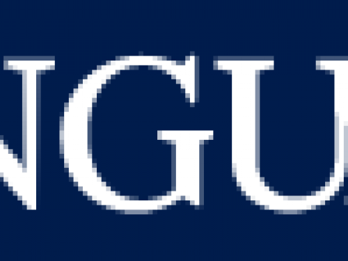 la vanguardia