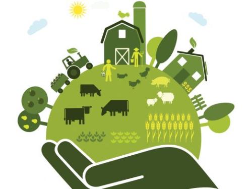 de la granja a la mesa UE