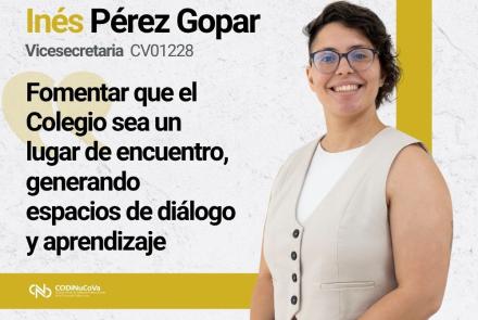 imagen ines perez gopar