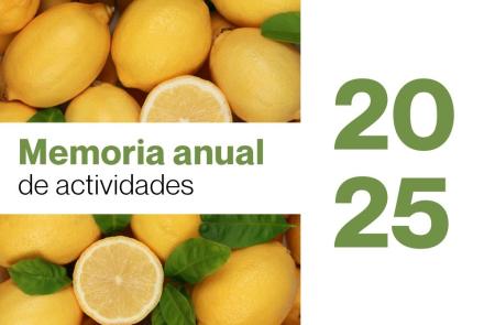 memoria 2025